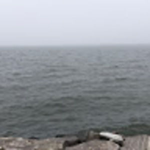 Meet your Posher, Bridget